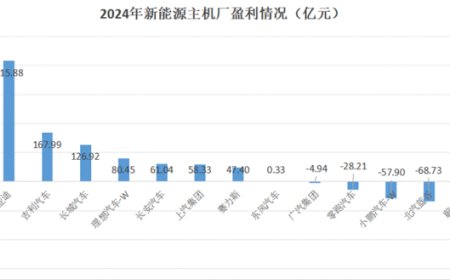 李斌说蔚来“钱都亏在了明处”，这些“明处”都是哪儿？