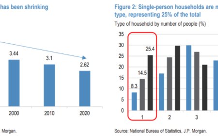 “不孤独经济”崛起：当1/4的中国家庭只有一个人