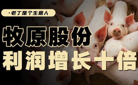 牧原股份业绩暴增，养猪又成了好生意吗？