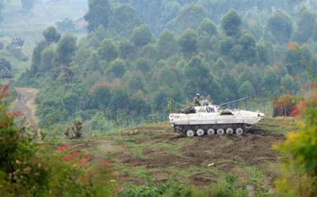 联合国专家指责卢旺达和乌干达，这两个国家在刚果民主共和国做了什么？