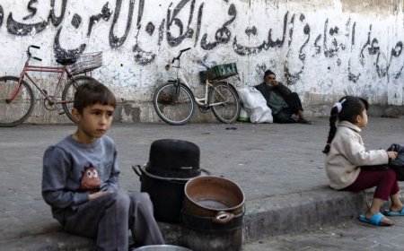 加沙谈判最突出的情景及其影响