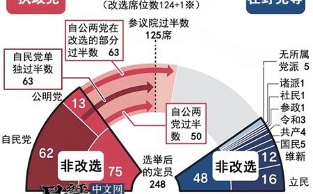 参议院选举倒计时，日本必须直面这一结构性矛盾