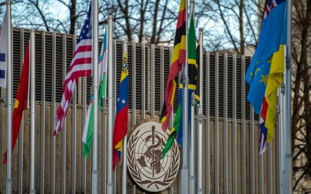 美国退出世卫组织大流行应对改革