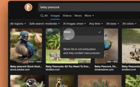 搜索结果中 AI 图片太多不用愁：DuckDuckGo 浏览器上线新功能帮你一键过滤
