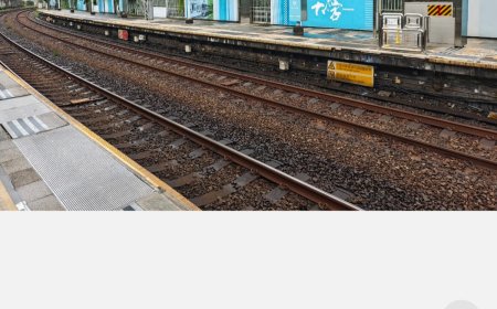 小米相册编辑焕新版将优化底部 Tab 图标：默认更新为纯文字版本，月底推送