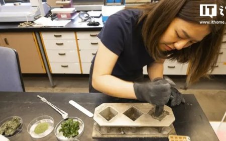 在水泥中加入海藻，美高校与微软联合研发出新型低碳混凝土