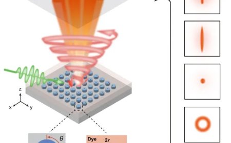 让激光发射“自由定制”，哈工大团队在《自然》发表研究成果