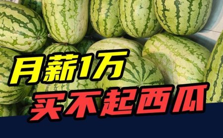 从5元一个到5元一斤，西瓜为什么越来越贵？
