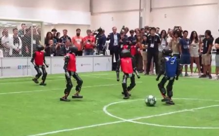 创造历史！中国战队首次夺得机器人足球世界杯 RoboCup 人形组冠军