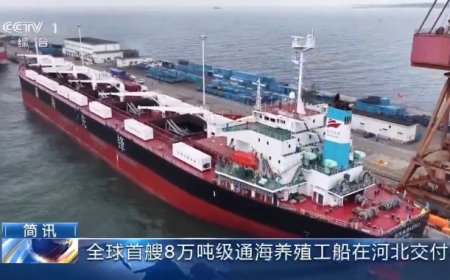 全球首艘 8 万吨级通海养殖工船“森海先锋”号在我国完成交付