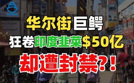 冻结资金、禁止入市，印度政府暴打华尔街巨头？