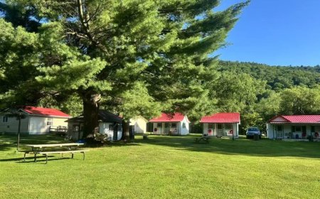 我们在美国一路向北，所见全是这家“穷鬼超市”