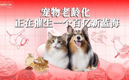 宠物老龄化，正在催生一个百亿新蓝海
