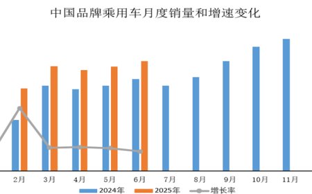 中汽协：今年上半年中国品牌乘用车销售 927 万辆同比增长 25%，占总量 68.5%