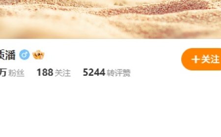 黄质潘微博认证改为星纪魅族集团 CEO，此前任手机产品线总裁