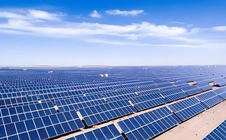 作为光伏从业者，我来说说行业反“内卷”中的利益冲突