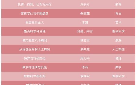 北京大学元培学院新生讨论班开设《原神》政治学课程