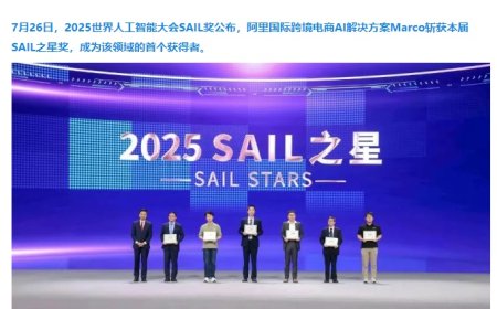 阿里国际 AI 解决方案日均调用量达 10 亿次，核心技术均已开源