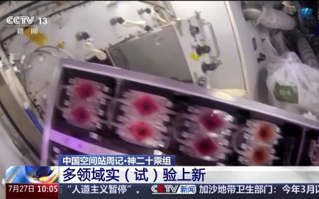 “太空快递”签收后航天员都在忙什么？中国空间站多领域新实验上线