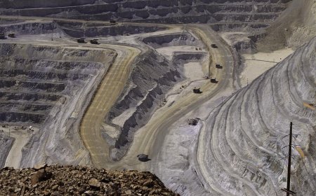 “非洲能给中国带来什么好处？”这题我会！