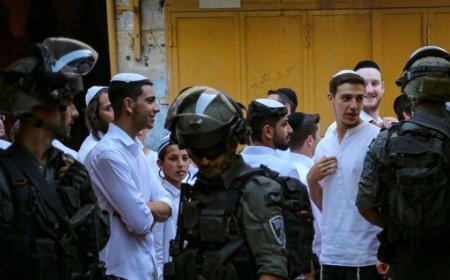 说着你的语言的敌人：以色列渗透阿拉伯社会的计划