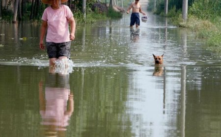 保定遭遇创纪录降雨，北京发布地质灾害预警