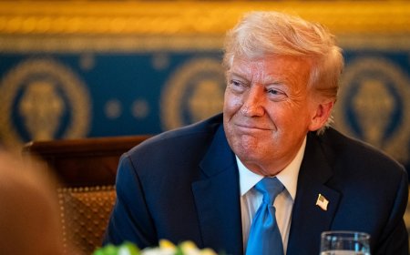 Anti-Trump NY Times columnist admits president is 'much more successful' than expected