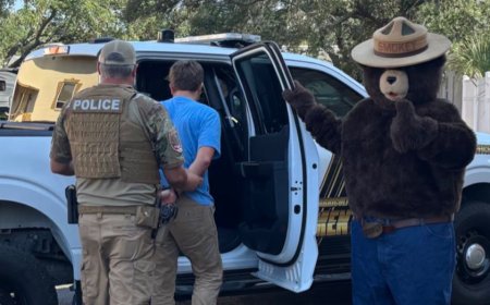 Smokey the Bear arrests man for allegedly stealing his signs in Florida to sell on Facebook: 'Dumb criminals'