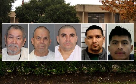 Migrant sex crime surge in major US city tied to Biden’s open border, Mexico ‘safe haven’: former judge