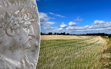Ancient Roman soldier's monthly paycheck unearthed in pristine condition in countryside
