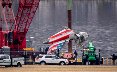 Army helicopter that crashed with commercial plane in DC was flying above altitude limit: NTSB