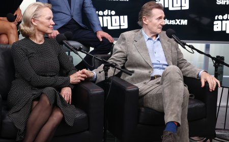 Pamela Anderson Praises Boyfriend Liam Neeson's 'Charm and Charisma'