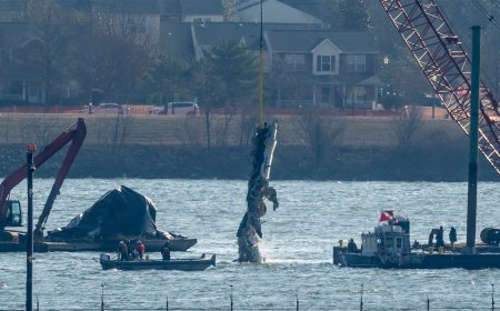Air traffic controller should have warned plane of Army helicopter's path ahead of fatal DC crash: FAA