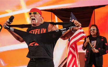 DeSantis declares 'Hulk Hogan Day in Florida' after wrestling icon's death