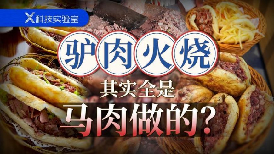 在北京吃了十年驴肉火烧，一口驴肉沫儿都没吃到过？