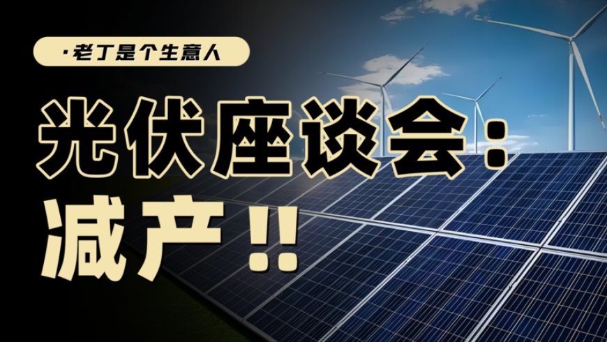 政策与市场的较量，光伏减产能救产业吗？