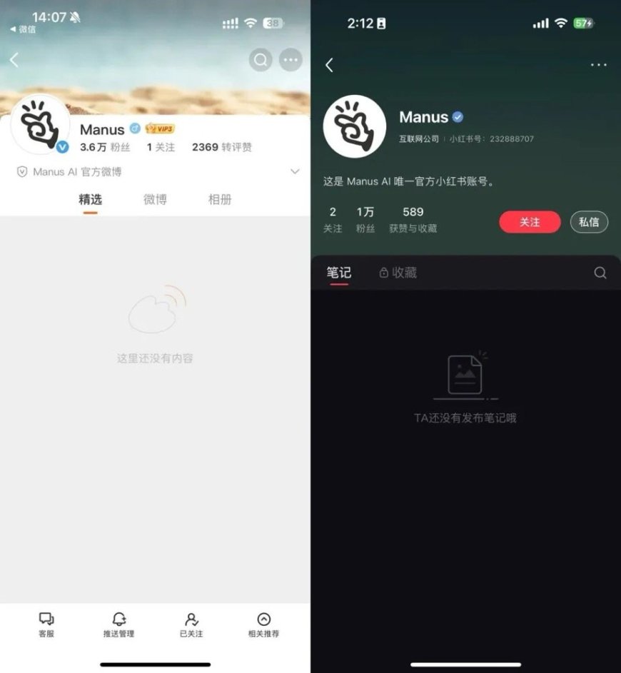 突发,聊聊Manus“删博跑路”