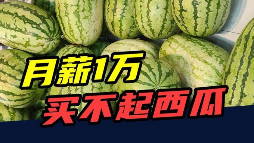 从5元一个到5元一斤，西瓜为什么越来越贵？