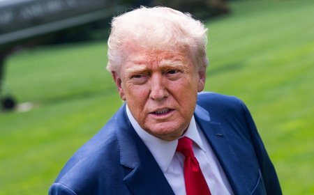 This is how Trump can break defiant sanctuary cities