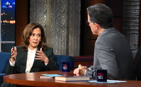 Kamala Harris refuses to say who's leading Democratic Party when pressed by Colbert
