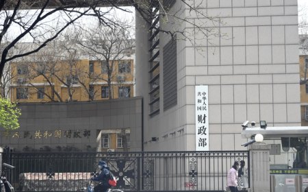 涉资超1400亿元，财政部曝光六起隐性债务问责案例