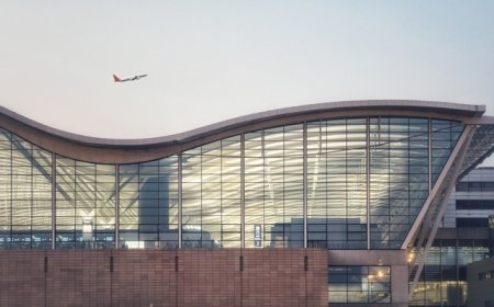 免签入区30天，上海东方枢纽国际商务合作区年内封闭运行