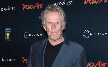 Gary Busey, 81, Pleads Guilty to Sex Crime at New Jersey Horror Convention