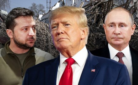 Zelenskyy urges direct talks with Putin as Trump sets peace deadline