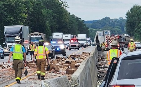 Hot dogs spill across interstate after tractor trailer crash to clog commute for steamed motorists