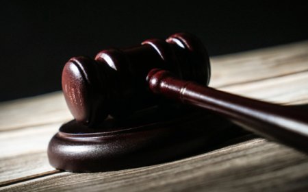 地方新闻精选 | 大连涉107亿元非法集资案宣判 中华白海豚误入珠江内河被救助