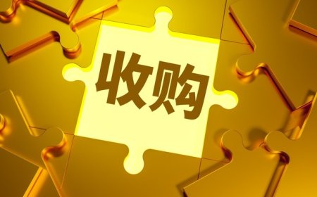 刘强东斥资185亿，想在欧洲“再造一个京东”