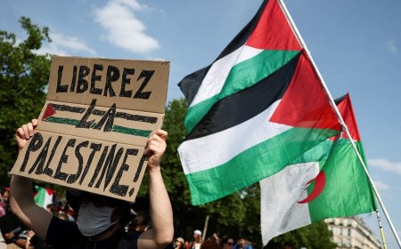 France to deport Palestinian woman over antisemitic post featuring Hitler, halts Gaza evacuations