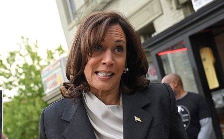 CNN panel shreds Harris' Colbert interview for her lack of solutions after 'six months to figure it out'