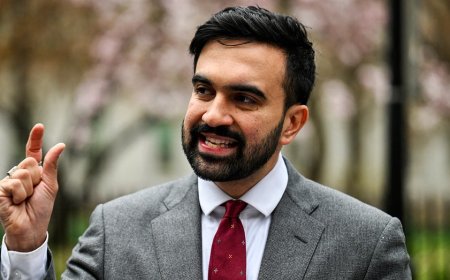 New York lawmaker sounds alarm on potential 'devastating' effects of Mamdani victory: 'Chaos'